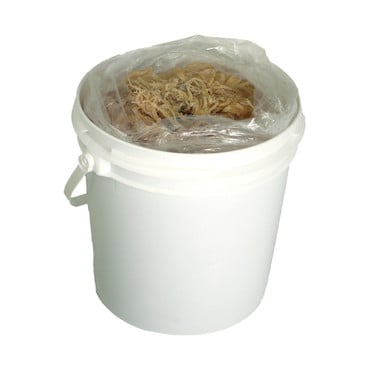 Wildcrafted Salted Sea Moss - 3¼ Lbs. image 0