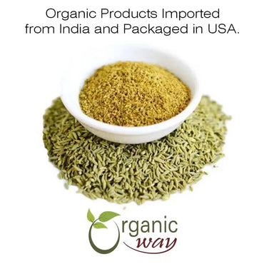 Organic Fennel (Powder) - Usda Certified | Origin - India image 1