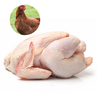 RED FEMALE CHICKEN - MEAT (3.0LBS) image 0