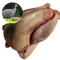 GUINEA HEN - MEAT (3.0LBS) image 0