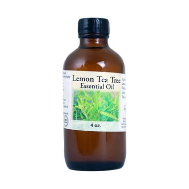 Lemon Tea Tree Essential Oil - 4 oz. image 0
