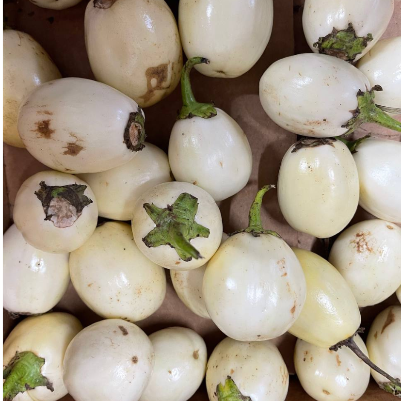 GARDEN EGGS image 0