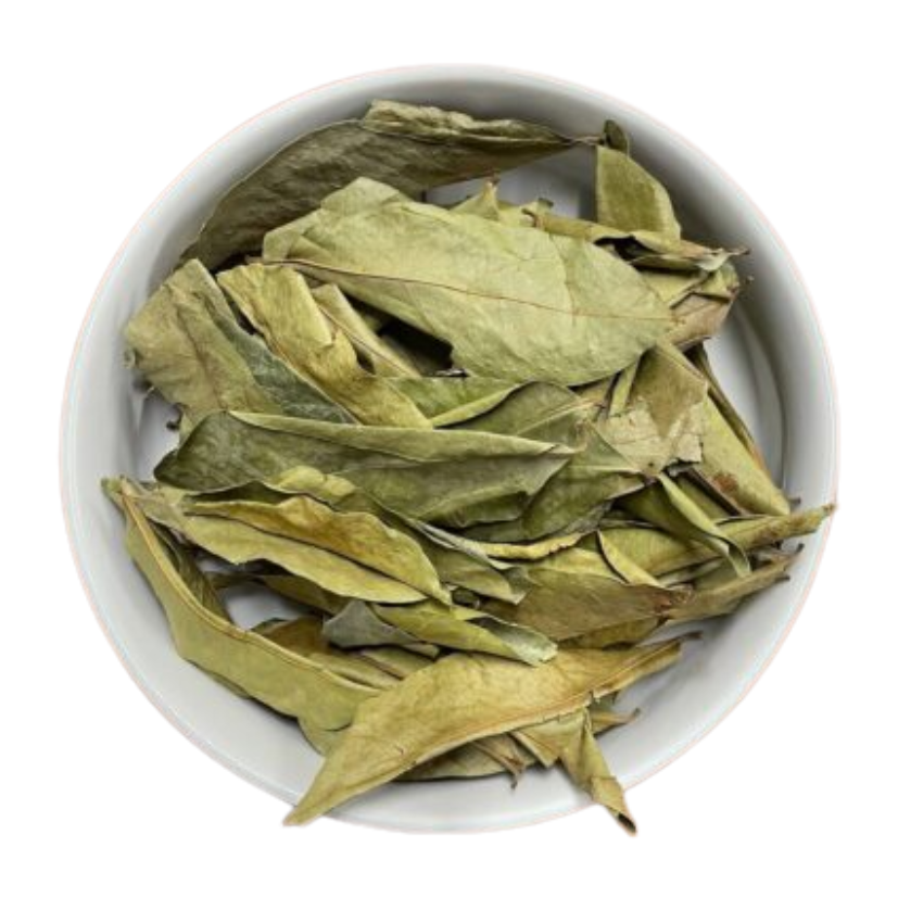 SOURSOP TEA LEAVES ORGANIC, 2OZ FRESHLY DRIED LEAVES- AFRICA (GRAVIOLA, GUANABANA LEAVES) **FREE SHIPPING** HERBAL TEA LEAVES/DETOX TEA (0.3LBS) image 0