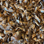 Fried Baby Tilapia ( 1lbs) image 0