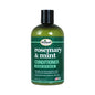 Rosemary & Mint Strengthening Biotin Conditioner image 0
