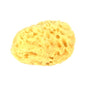 Dead Sea Natural Sponge image 0