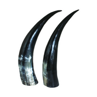 SET OF 2 LARGE HORN DECOR image 1