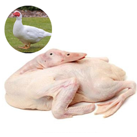 DUCK - MEAT (3.0LBS) image 0
