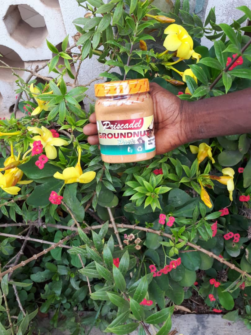 PRISCADEL GROUNDNUT PASTE - 420G image 0