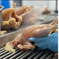 RED CHICKEN WITHOUT SKIN - MEAT (3.0LBS) image 2