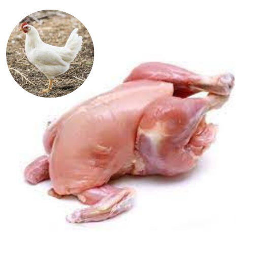 WHITE CHICKEN WITHOUT SKIN - MEAT (3.0LBS) image 0