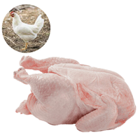 WHITE CHICKEN - MEAT (3.0LBS) image 0