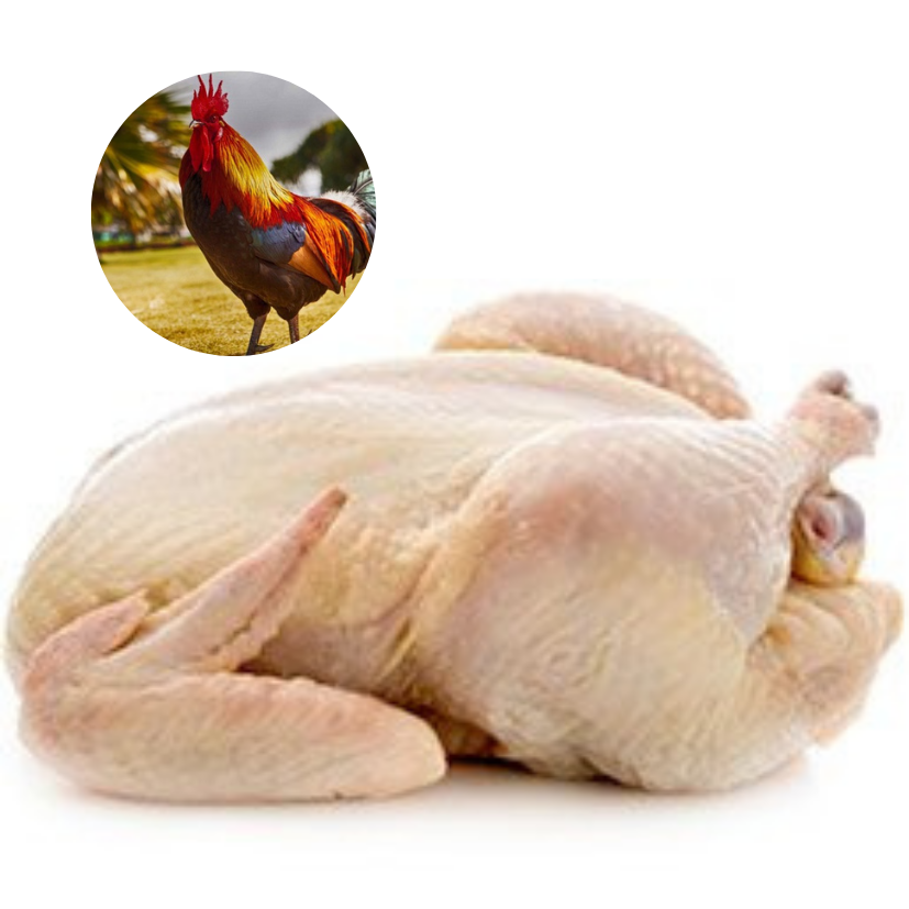 RED MALE CHICKEN - MEAT (3.0LBS) image 0