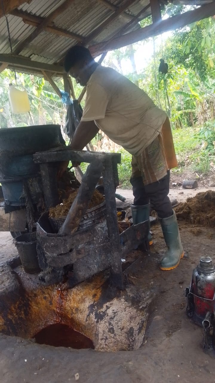 Palm oil image 3