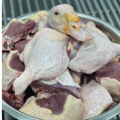 DUCK - MEAT (3.0LBS) image 2