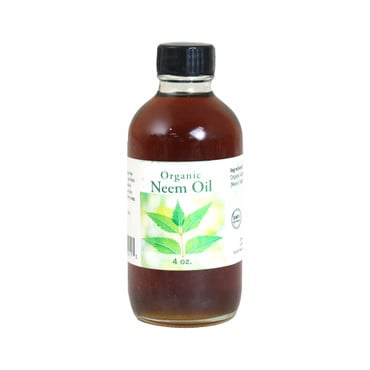 Neem Oil (Organic) - 4 oz. image 0