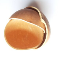 HANDMADE CALABASH FROM GHANA, CALABASH BOWLS REGLAR SIZES FOR DRINKING. image 0