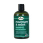 Rosemary & Mint Strengthening Biotin Shampoo image 0