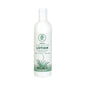 Shea Butter Lotion - 12 oz. image 0