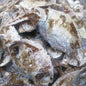 Fried Anteley (1lbs) image 0