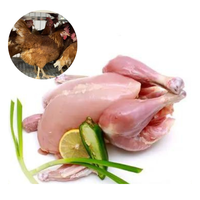 RED CHICKEN WITHOUT SKIN - MEAT (3.0LBS) image 0