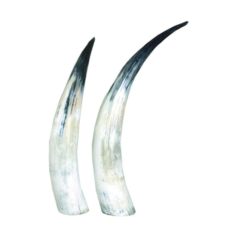SET OF 2 LARGE HORN DECOR image 0